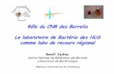 Rôle du CNR des Borrelia Le laboratoire de Bactério des ...