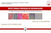 NOTES TRAVAUX PRATIQUES DE MICROBIOLOGIE