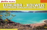 numérique format ce guide au Lualaba - Kolwezi république ...