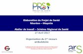 Elaboration du Projet de Santé Réunion Mayotte Atelier de ...