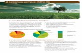 La biomasse en France : chiffres clés
