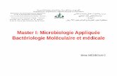 Master I: Microbiologie Appliquée Bactériologie ...