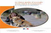 Guide chien interieur - Ministère de la Transition ...