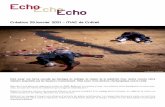EchoEchoEcho - Compagnie Catherine Diverrès