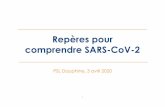 Repères pour comprendre SARS-CoV-2