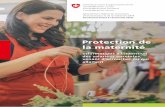 Protection de la maternité - SECO