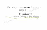 Projet pédagogique 2019 - ifsi.ch-lerouvray.fr