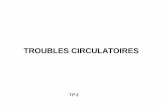 TROUBLES CIRCULATOIRES - Weebly