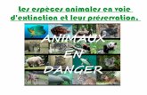 Les espèces animales en voie d'extinction et leur ...