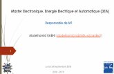 Master Electronique, Energie Electrique et Automatique (3EA)