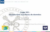 Stage SIG : Introduction aux bases de données