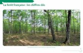 La forêt française : les chiff res clés