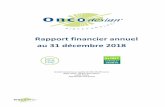 Rapport financier annuel au 31 décembre 2018