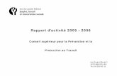 Rapport d'activité 2005-2006 Conseil supérieur pour la ...
