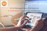 SI & Management d'entreprise e-commerce économie numérique