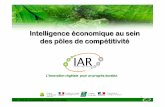 IAR – Pôle de compétitivité à vocation mondiale des pôles ...