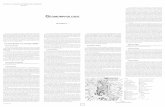 Géomorphologie - horizon.documentation.ird.fr
