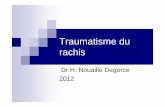 Dr H. Nouaille Degorce 2012