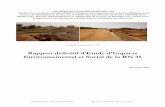 Rapport definitif d’Etude d’Impacts Environnemental et ...