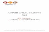 RAPPORT ANNUEL D’ACTIVITÉ 2013