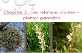 Chapitre 5 : Les relations plantes plantes parasites