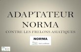 ADAPTATEUR NORMA - ESAT LA HETRAIE
