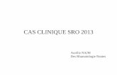 CAS CLINIQUE SRO 2013 - srouest.fr