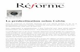La prédestination selon Calvin - Reforme.net