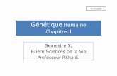 GØnØtique Humaine Chapitre II - F2School