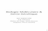 Biologie Moléculaire & Génie Génétique