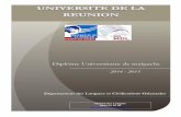 Diplôme Universitaire de malgache