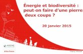 Énergie et biodiversité - ARB Île-de-France