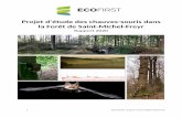 Projet d’étude des chauves-souris dans la Forêt de Saint ...