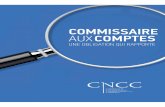 COMMISSAIRE AUX COMPTES - laviale.com