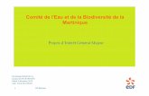 Comité de l'Eau et de la Biodiversité de la Martinique