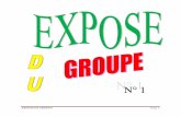 EXPOSE DE GROUPE Page 1