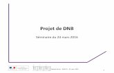Projet de DNB - ac-reunion.fr