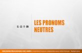LES PRONOMS - Indo French Hub