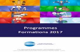 Programmes Formations 2017 - SIEI