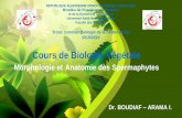 Cours de Biologie Végétale Morphologie et Anatomie Végétale