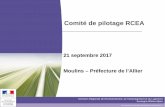 Comité de pilotage RCEA - Ministère de la Transition ...