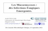 Les Mucormycoses : des Infections Fongiques Emergentes.