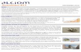 Newsletter 11 DÉCEMBRE 2018 - ALCIOM