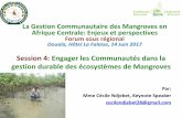 La Gestion Communautaire des Mangroves en Afrique Centrale ...