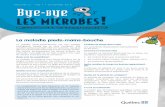 VOLUME 21 - NO 4 • AUTOMNE 2018 Bye------ - bye les microbes