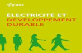 électricité et développement dUrable