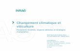 Changement climatique et viticulture