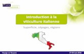 Introduction à la viticulture italienne