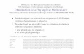 ENS Lyon - L3 Biologie moléculaire & cellulaire UE ...