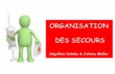ORGANISATION DES SECOURS - ifsi.charlesfoix.blog.free.fr